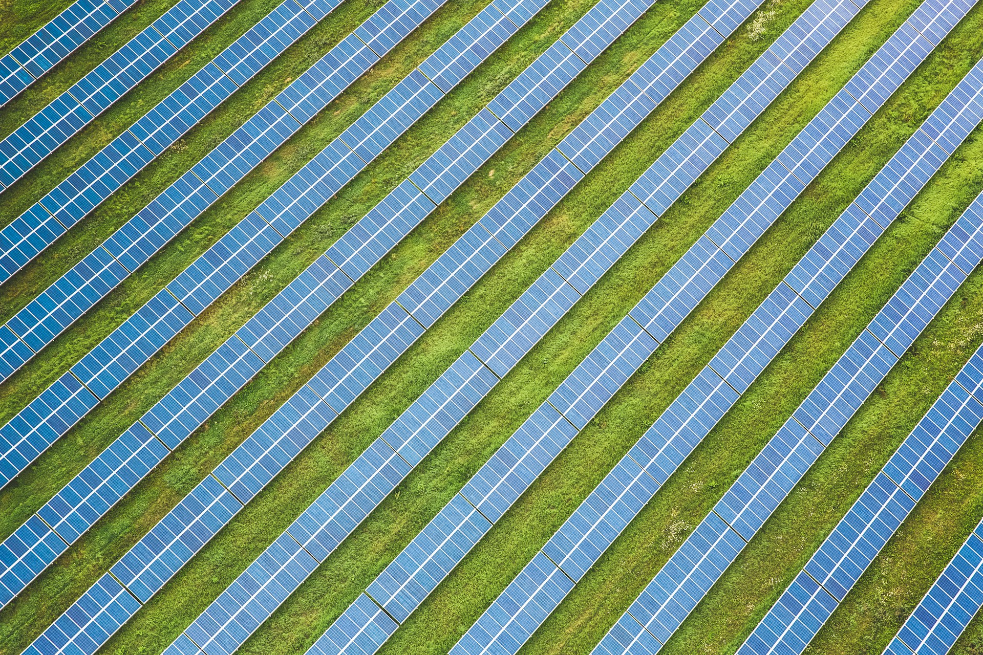 Aerial view of a solar farm with long rows of solar panels installed in parallel lines on green grass.
